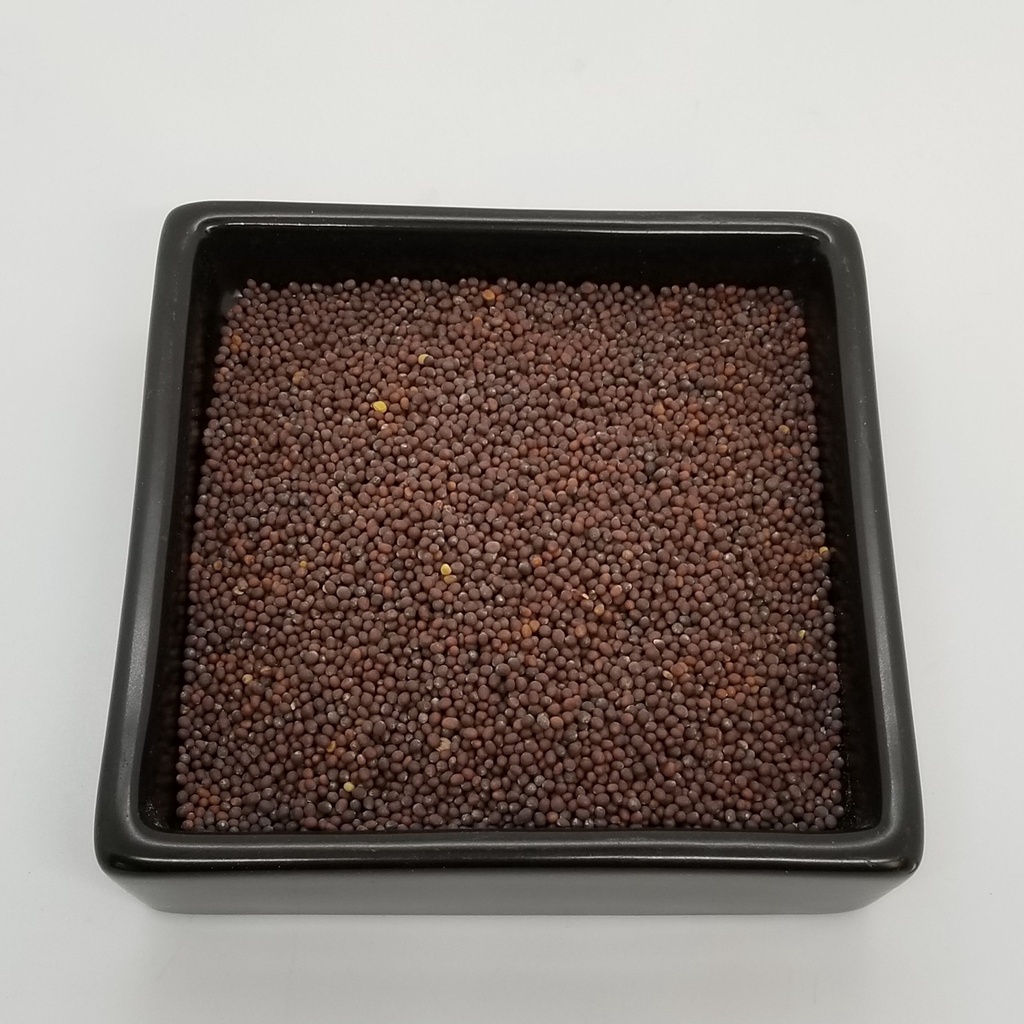 Mustard seed